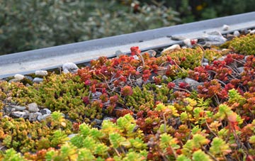 the cost of Branstone green roof installation