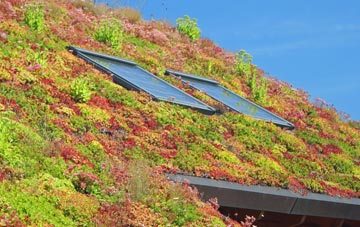 Branstone living roof systems