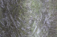 Branstone fibreglass roof work